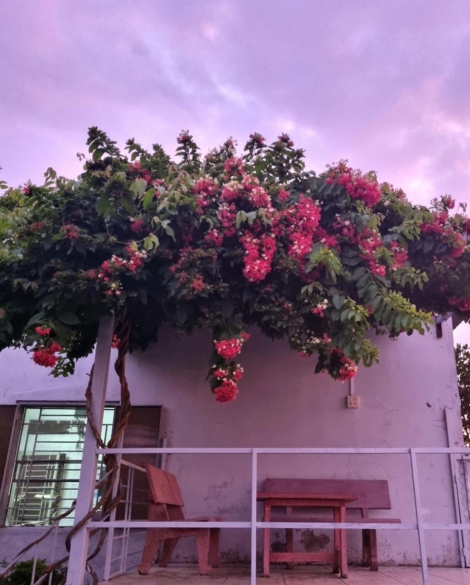 Tran Phu Riverside House Cần Thơ Exterior foto